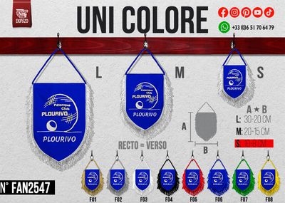 Lot de 10 fanions en taille 10x8