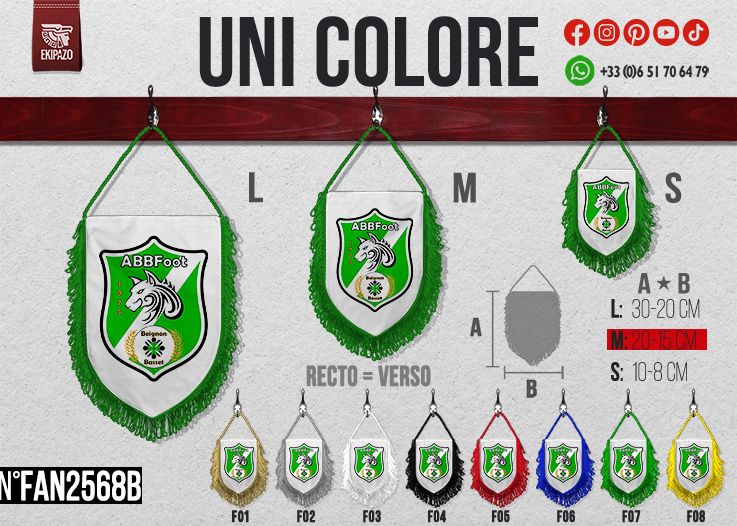 Lot de 10 fanions taille M