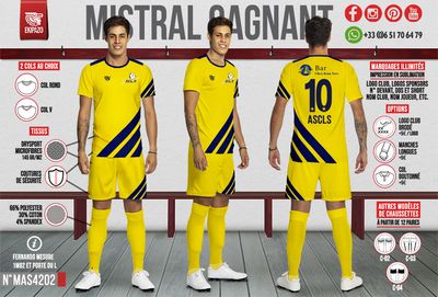 Lot de 14 maillots (dont 1 gardien)