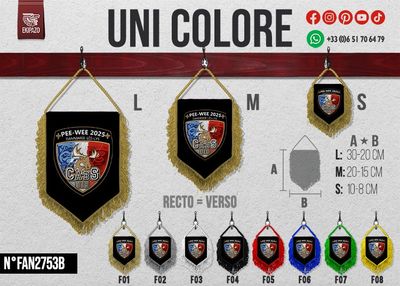 Lot de 10 fanions en taille M