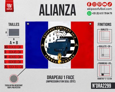 Lot de 2 drapeaux en XL oeillets longueur - seulement recto