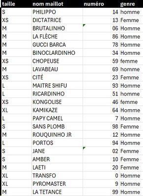 Lot de 23 maillots "La Meute" modifiés + 1 maillot Camel