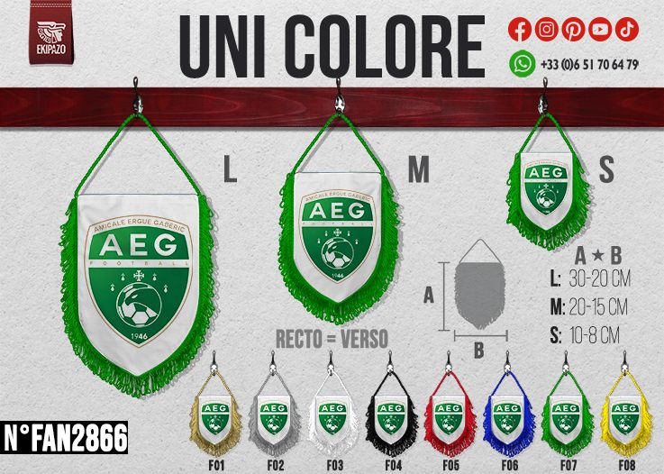 Lot de 20 fanions en 10x8