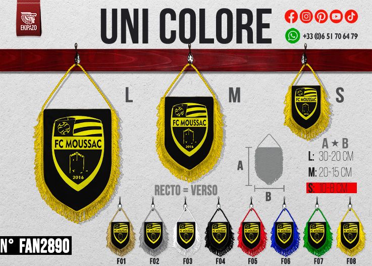 Lot de 60 fanions en taille S
