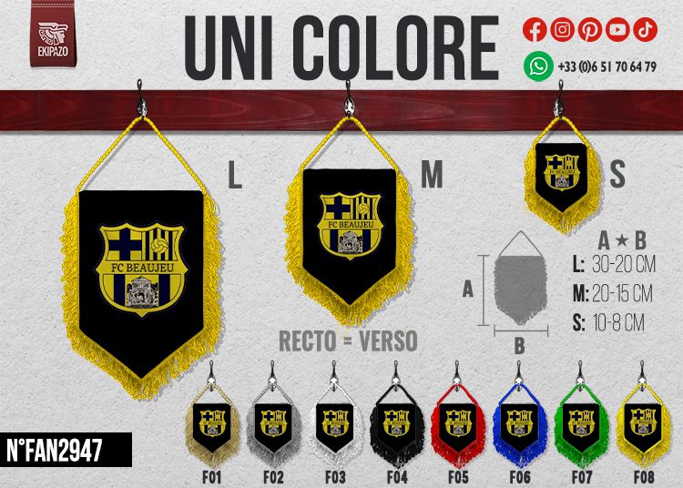 Lot de 25 fanions en taille S