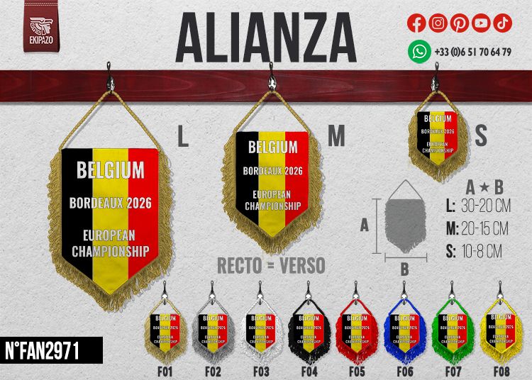 Lot de 7 fanions (envoi express hors Bpost)