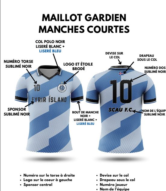 Lot de 16 maillots à livrer avant le 2 juillet