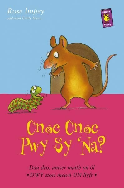Cyfres Gwalch Balch: 12. Cnoc, Cnoc! Pwy sy 'Na?