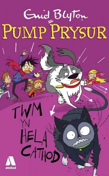 Pump Prysur: Twm yn Hela Cathod