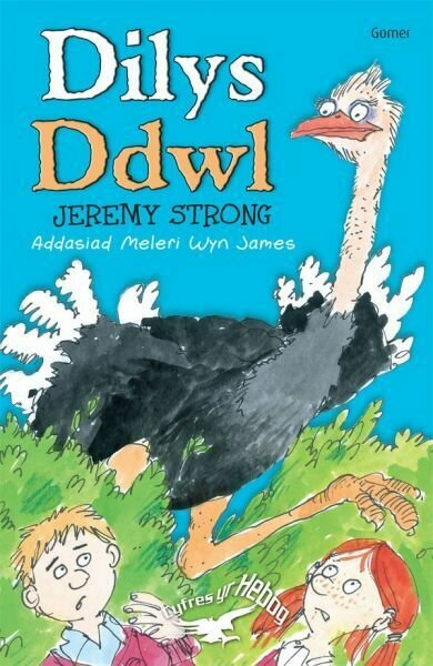 Cyfres yr Hebog: Dilys Ddwl
