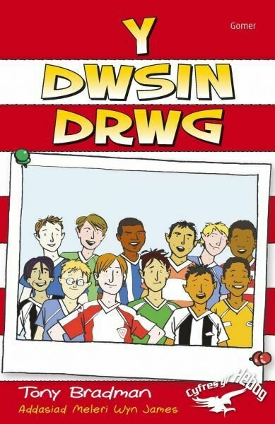 Cyfres yr Hebog: Y Dwsin Drwg