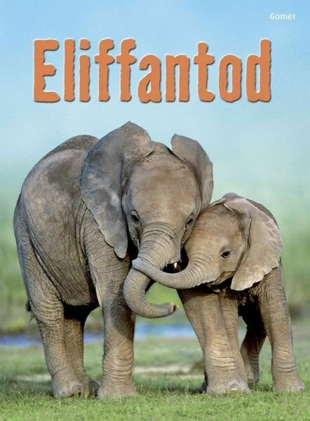 Cyfres Dechrau Da: Eliffantod