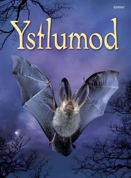 Cyfres Dechrau Da: Ystlumod
