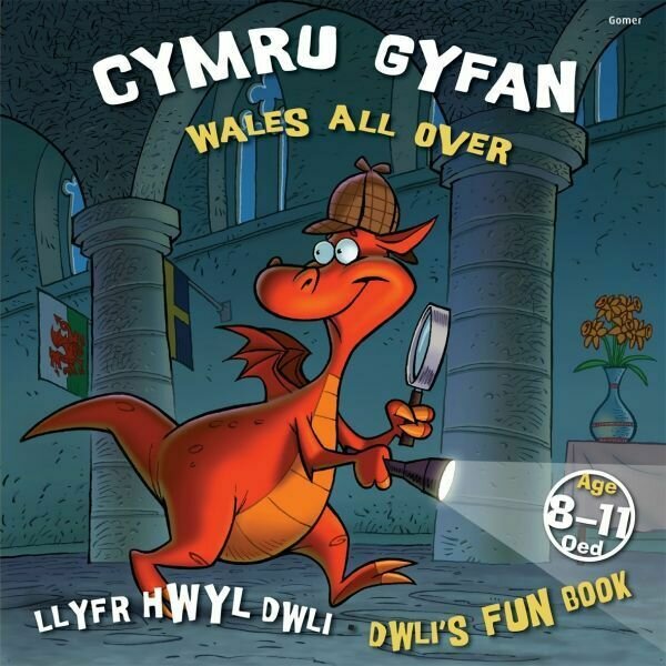 Llyfr Hwyl Dwli/ Dwli's Fun Book: Cymru Gyfan/ Wales All Over
