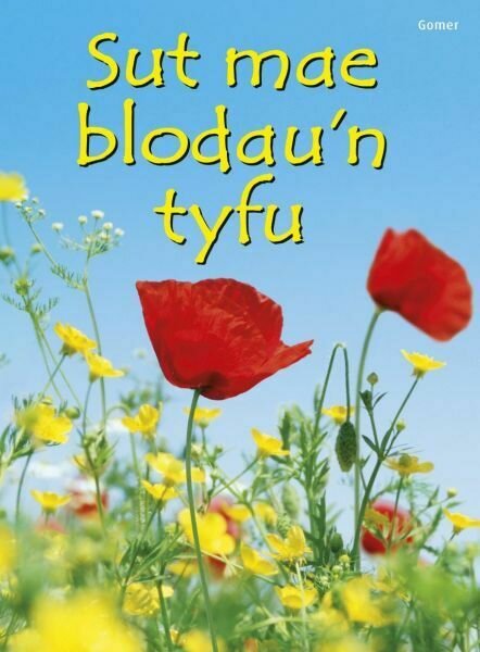Cyfres Dechrau Da: Sut Mae Blodau'n Tyfu?