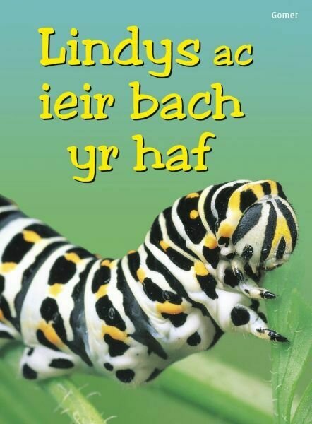 Cyfres Dechrau Da: Lindys ac Ieir Bach yr Haf