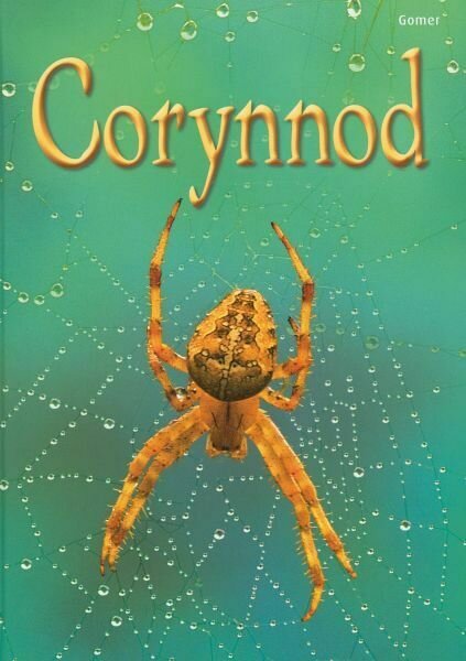 Cyfres Dechrau Da: Corynnod