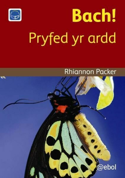 Cyfres Darllen Difyr: Bach! - Pryfed yr ardd