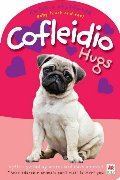 Cwtsh a Chyffwrdd: Cofleidio / Baby Touch and Feel: Hugs