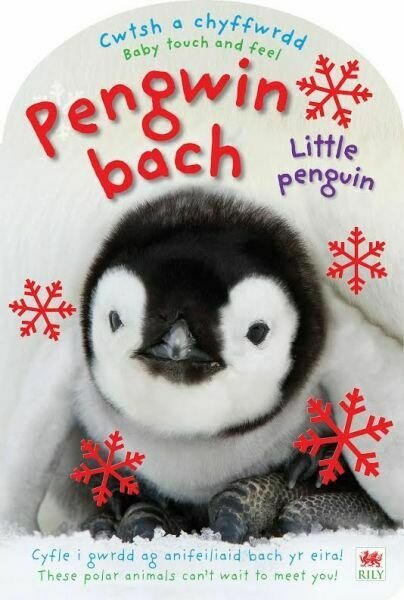 Pengwin Bach / Little Penguin