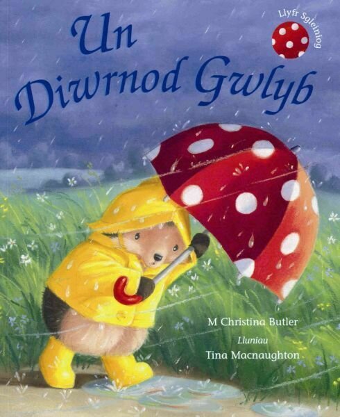 Cyfres Draenog Bach: Un Diwrnod Gwlyb
