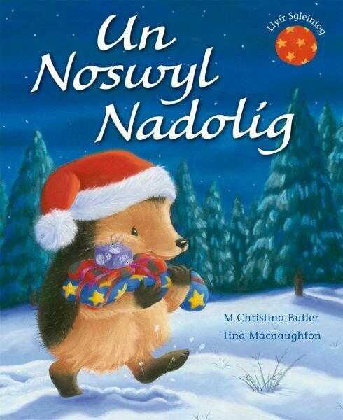 Cyfres Draenog Bach: Un Noswyl Nadolig