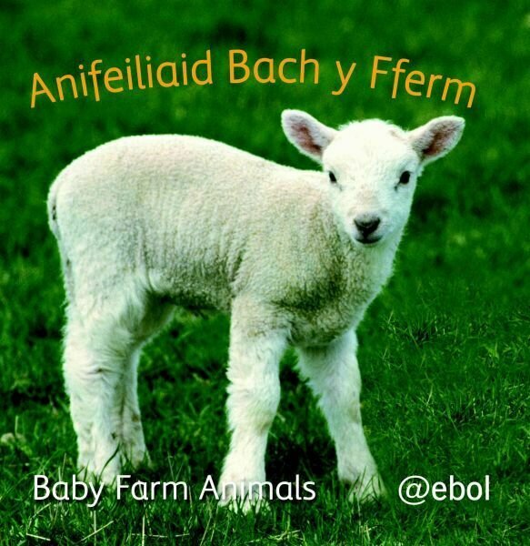 Fy Llyfr Lluniau Defnydd Meddal/My Photo Soft Cloth Book: 1.