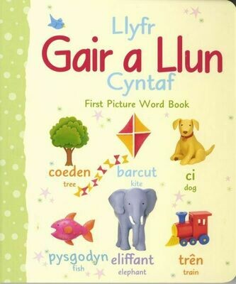 Llyfr Gair a Llun Cyntaf/First Picture Word Book