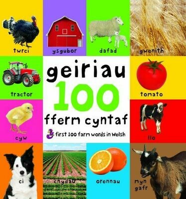 100 Geiriau Fferm Cyntaf/First 100 Farm Words in Welsh