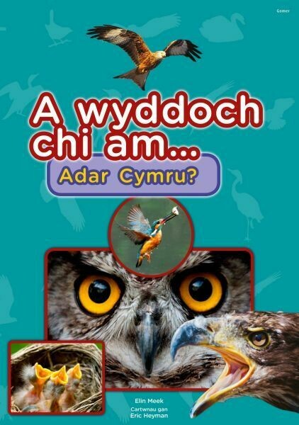 Cyfres a Wyddoch chi: A Wyddoch Chi am Adar Cymru?