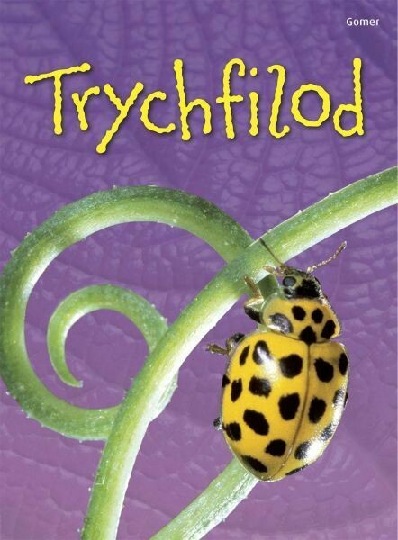 Cyfres Dechrau Da: Trychfilod