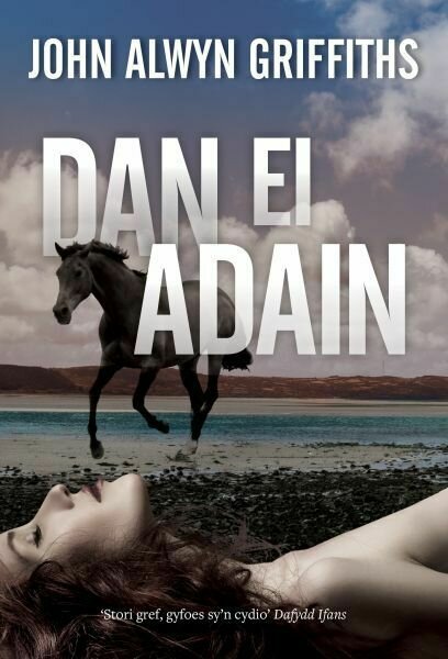 Dan ei Adain - John Alwyn Griffiths