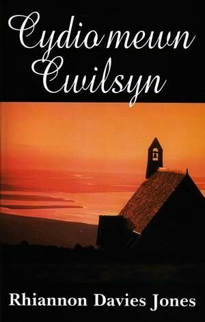 Cydio Mewn Cwilsyn - Rhiannon Davies Jones