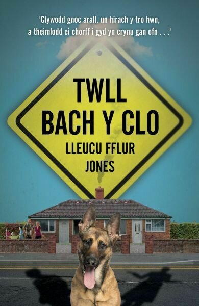 Twll Bach y Clo - Lleucu Fflur Jones
