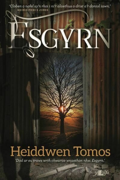 Esgyrn - Heiddwen Tomos