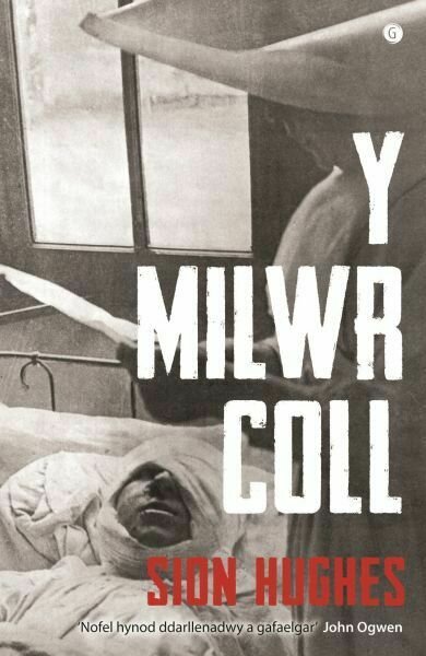 Y Milwr Coll - Sion Hughes