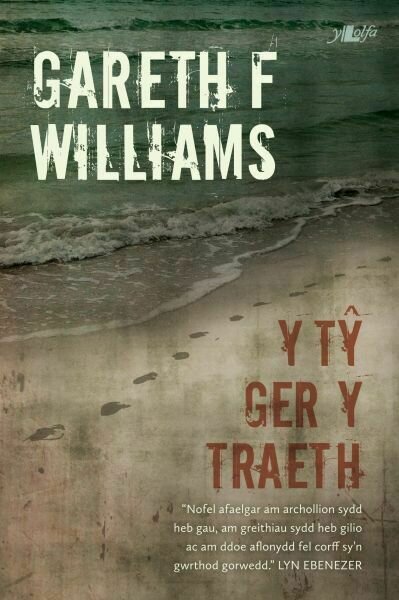 Y Tŷ Ger y Traeth - Gareth F. Williams