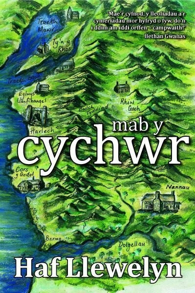 Mab y Cychwr - Haf Llewelyn