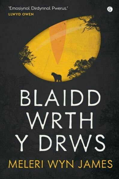 Blaidd wrth y Drws - Meleri Wyn James