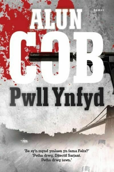 Pwll Ynfyd - Alun Cob