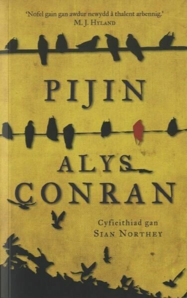Pijin - Alys Conran