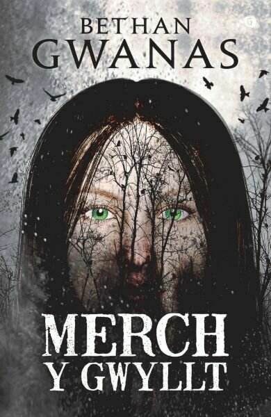 Merch y Gwyllt - Bethan Gwanas