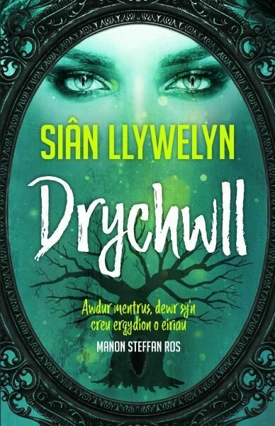 Drychwll - Sian Llywelyn