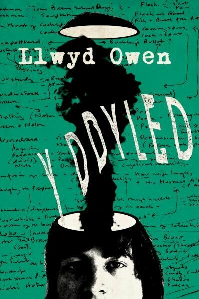 Y Ddyled - Llwyd Owen
