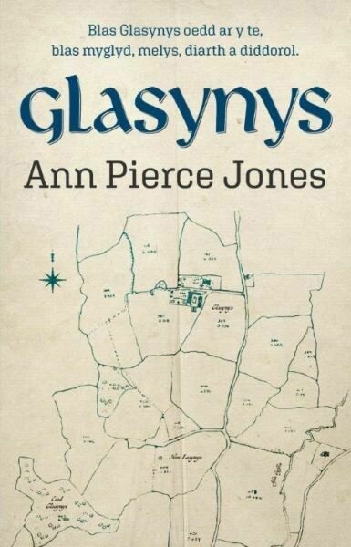 Glasynys - Ann Pierce Jones