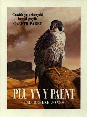 Plu yn y Paent - Gwaith yr Arlunydd Bywyd Gwyllt Gareth Parry