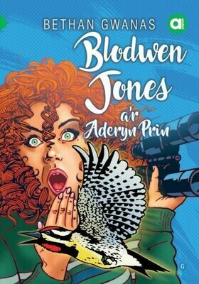Cyfres Amdani (Lefel Sylfaen): Blodwen Jones a'r Aderyn Prin - Bethan Gwanas