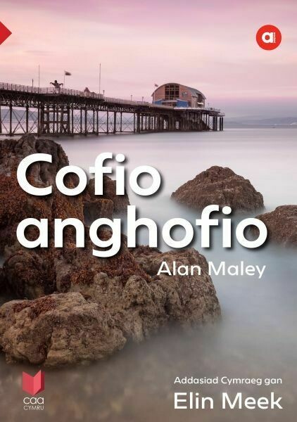 Cyfres Amdani: Cofio Anghofio - Lefel Uwch
