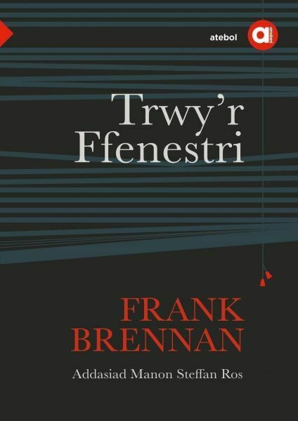 Cyfres Amdani: Trwy'r Ffenestri - Lefel Uwch