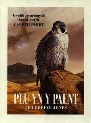 Plu yn y Paent - Gwaith yr Arlunydd Bywyd Gwyllt Gareth Parry
